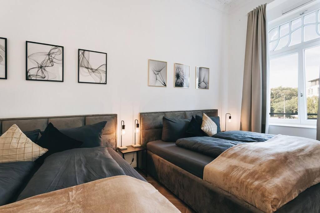 Tip! Design-Apartment In Toplage 75Qm In Szeneviertel Dresden Eksteriør bilde